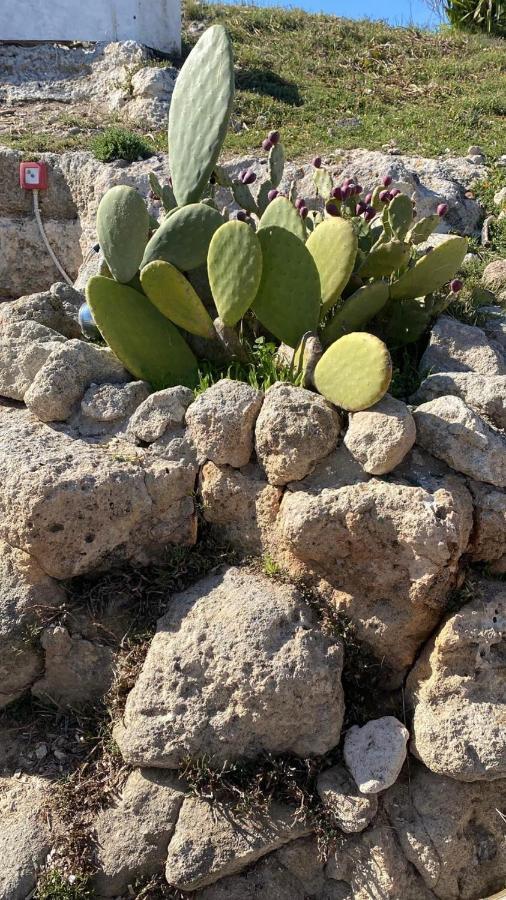 Trullo Elvira & Luigi Villa Monopoli Eksteriør bilde
